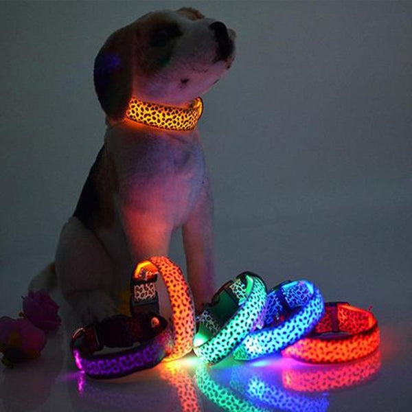 LED Dog Collar Safety Adjustable Nylon Leopard Pet Collar - happyshop365247