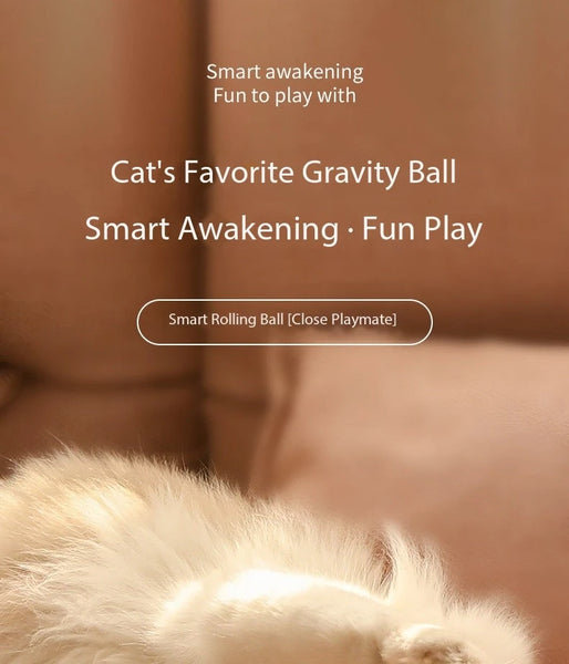 Cat Interactive Ball Smart Cat Toys Indoor Automatic Rolling Magic Ball Electronic Interactive Cat Toy Cat Game Accessories - happyshop365247