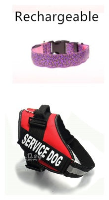 LED Dog Collar Safety Adjustable Nylon Leopard Pet Collar - happyshop365247