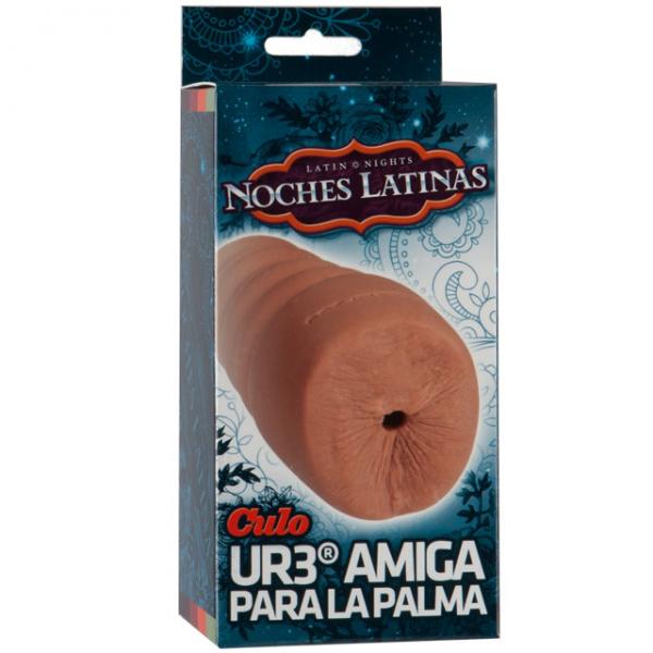 Noches Latinas Ur3 Palm Pal Ass - happyshop365247
