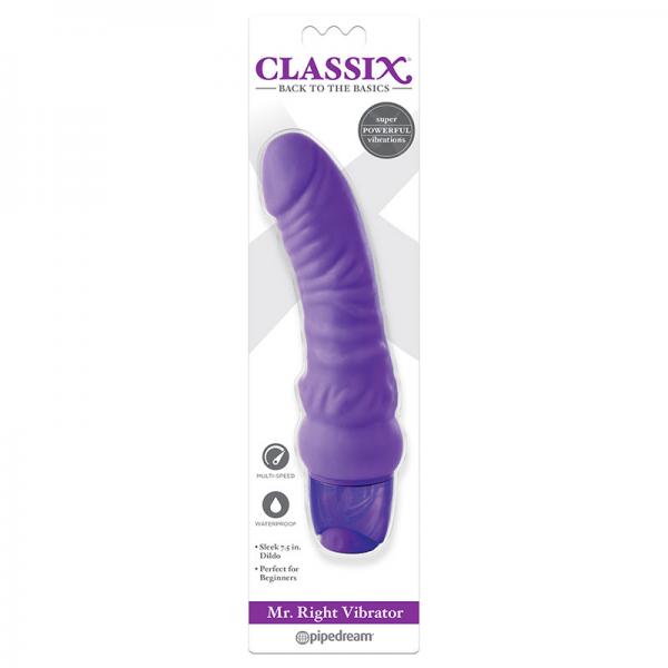 Classix Mr. Right Vibrator Purple - happyshop365247