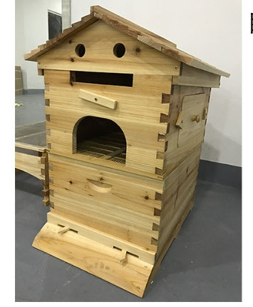 Automatic Honey And Honey Bee Spleen