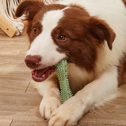 Chew Toys For Dog Teeth Cleaning - happyshop365247