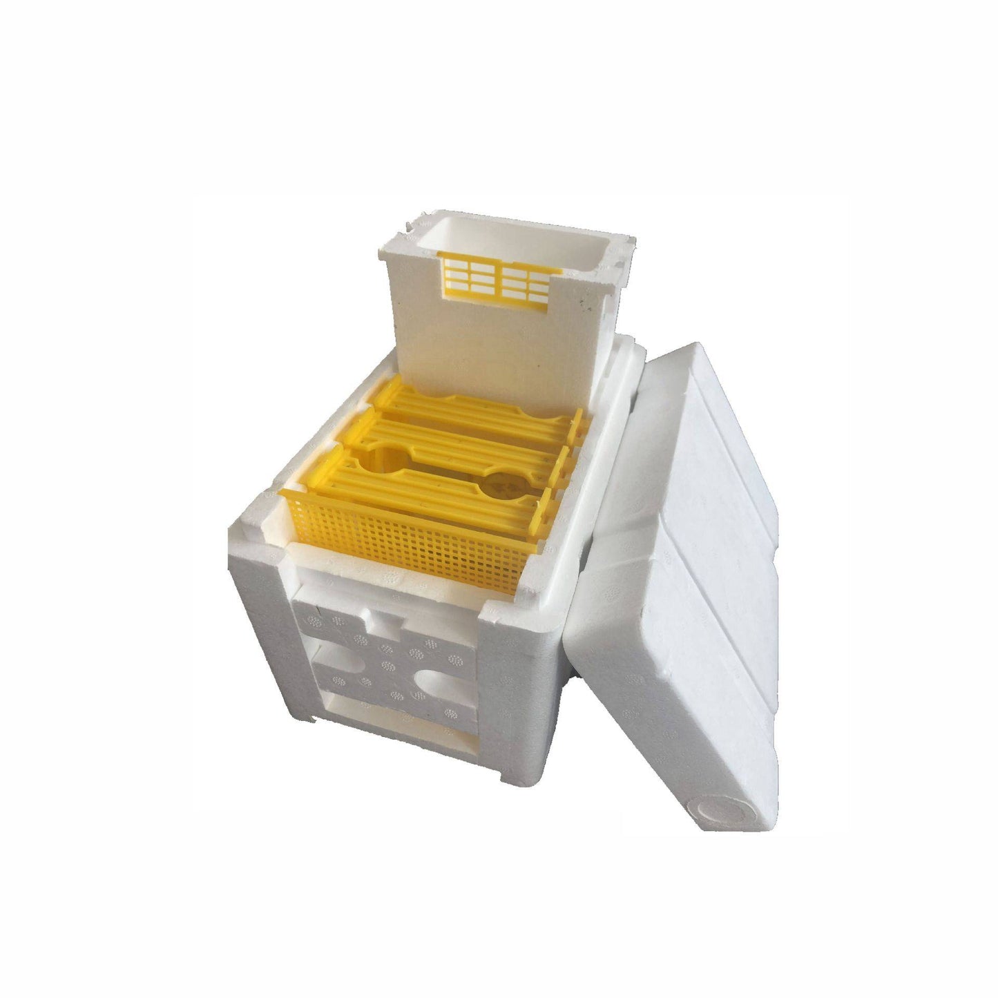 Bee Mating Pollination Breeding King Box Tool Set