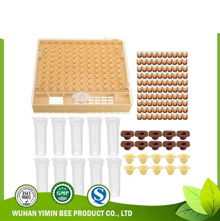Queen bee breeding system cultivation box