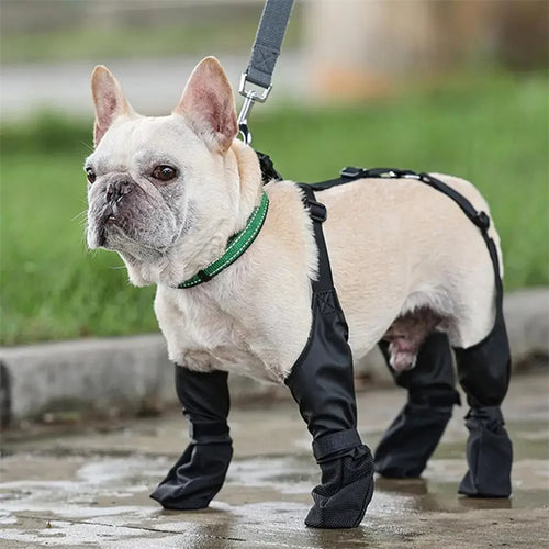 Waterproof Dog Shoes Adjustable Dog Boots Pet Breathbale Shoes For Outdoor Walking Soft French Dog Shoes Pets Paws Protector Pet Products - happyshop365247