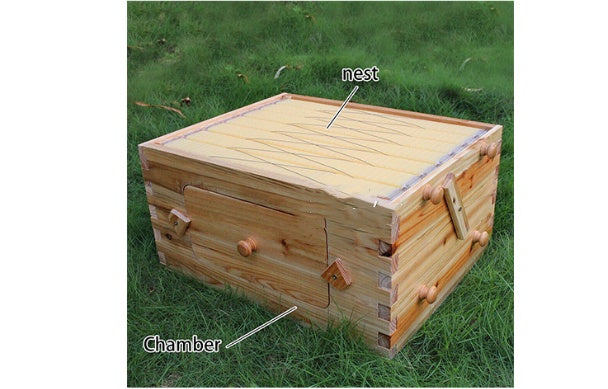 Automatic Honey And Honey Bee Spleen