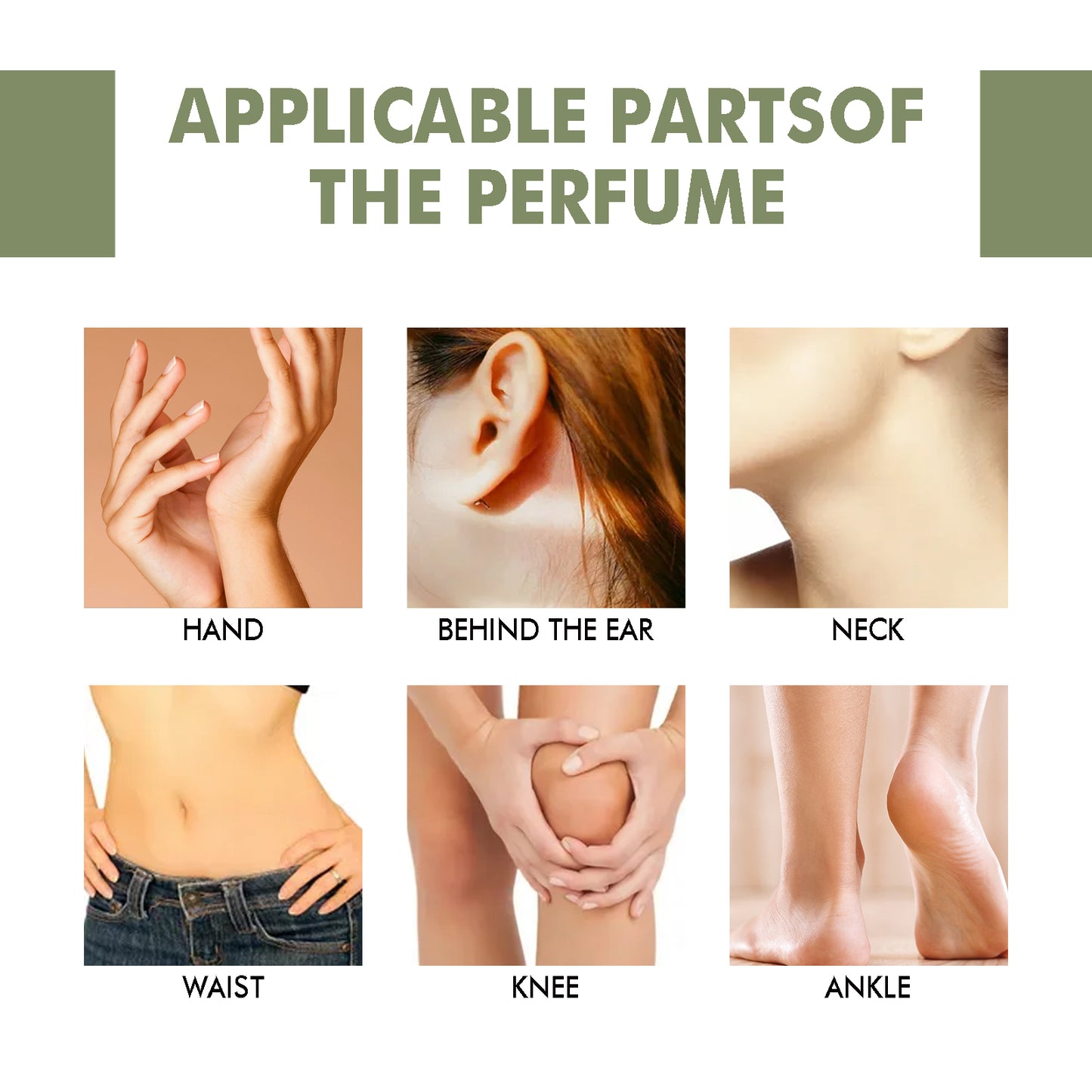 Bergamot Cedarwood Scent Experience Perfume, Fresh Wood Scent Lasting Fragrance Naturally Not Pungent Niche Perfume