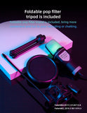 Condenser Professional Microphone Mic For PC Laptop Computer Gaming USB Wired Streaming Podcast Studio Mike Kit Gamer Accessory