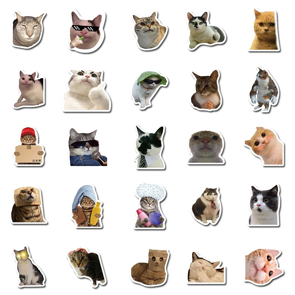 10/50PCS Cat MEME Funny Animals Stickers Vintage Toy DIY Kids Notebook Luggage Motorcycle Laptop Refrigerator Decals Graffiti - happyshop365247