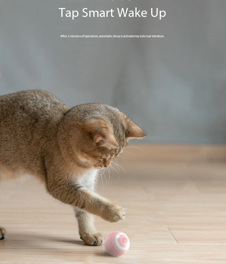 Cat Interactive Ball Smart Cat Toys Indoor Automatic Rolling Magic Ball Electronic Interactive Cat Toy Cat Game Accessories - happyshop365247