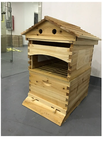 Automatic Honey And Honey Bee Spleen