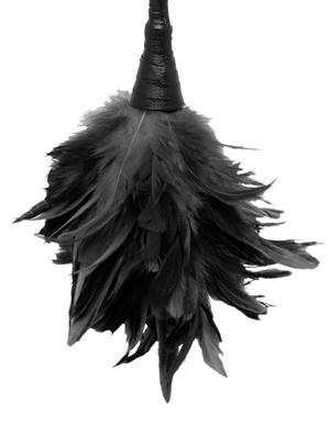 Fetish Fantasy Frisky Feather Duster Black - happyshop365247