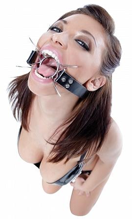 Fetish Fantasy Extreme Spider Gag O/S - happyshop365247