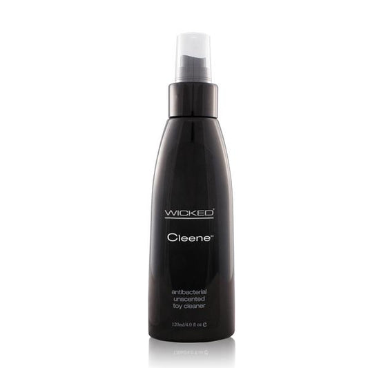 Wicked Antibacterial Toy Cleaner 4oz. - happyshop365247