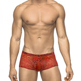 Male Power Stretch Lace Mini Short Red X-large - happyshop365247